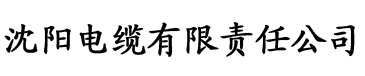 大香蕉综合在线电影院电缆厂logo